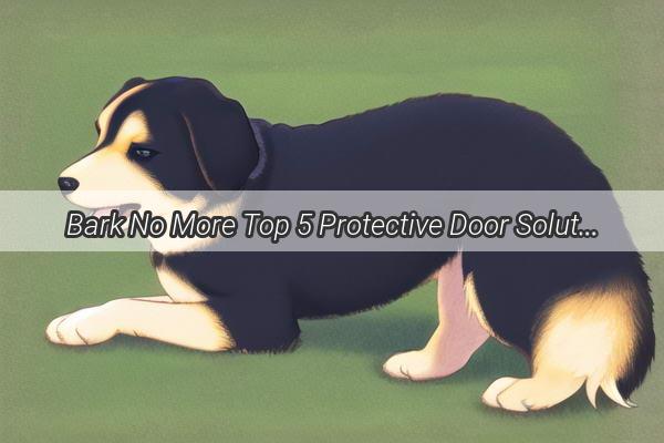 Bark No More Top 5 Protective Door Solutions for Your Furry Friends Scratch Attack